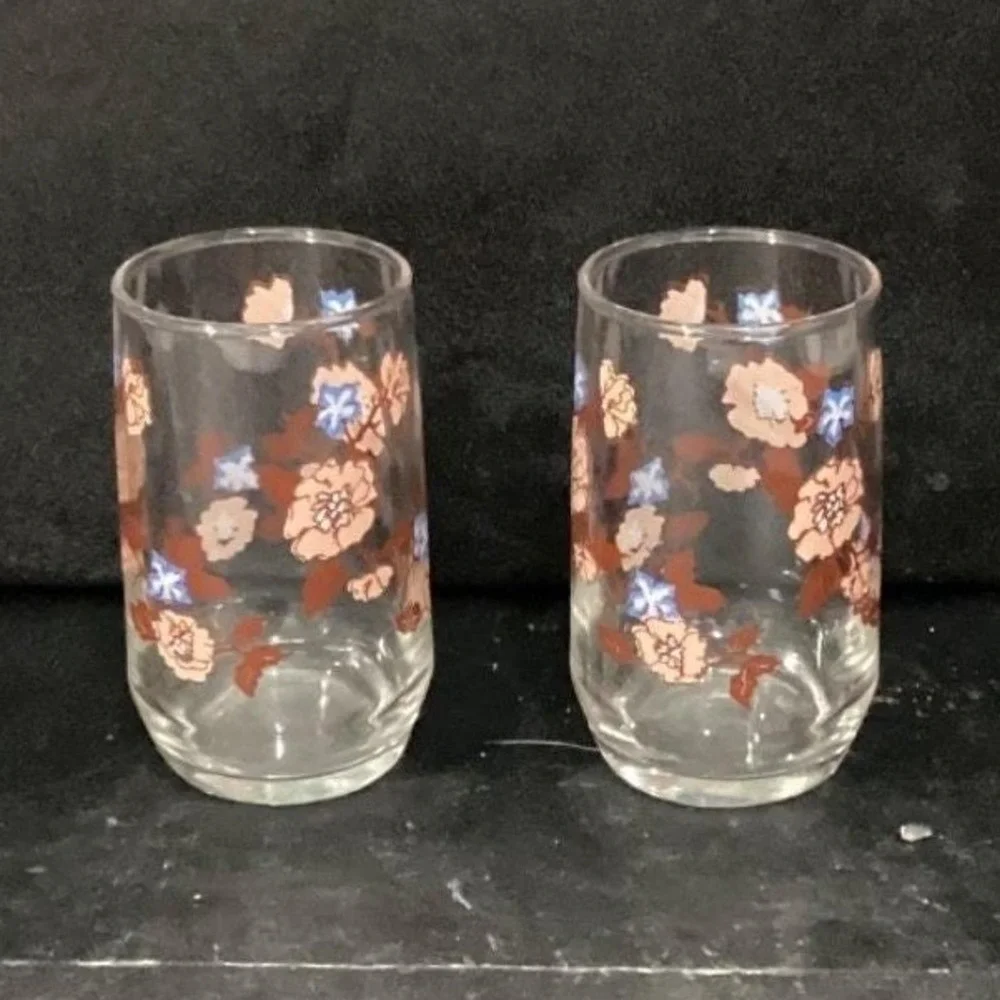 Libbey Floral Juice Glasses, Set of 2,‎ Vintage Orange Flowers Design Drinkware